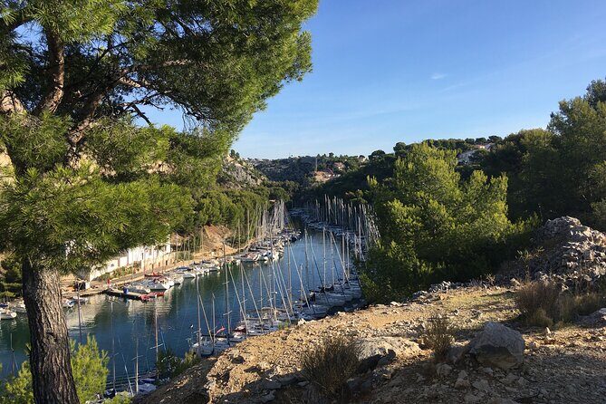 Cassis and Port Miou 5 Hours tour from Aix-en-Provence - Who Will Love This Tour?