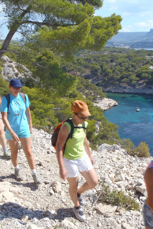 Cassis: Half-Day Calanques de Cassis Hike - What to Expect: The Trail and Highlights