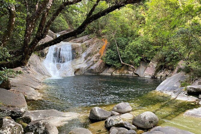 Cassowary Coast Goondoi Culture Tour - The Sum Up: Who Will Love This Tour?