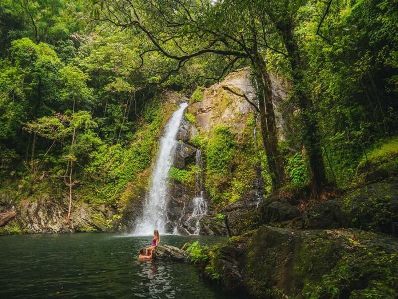 Cassowary Falls Adventure Tour - Daintree Rainforest - Exploring the Itinerary: What to Expect from Start to Finish
