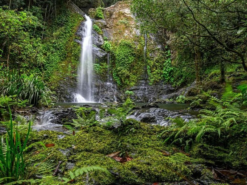 Cassowary Falls Adventure Tour - Daintree Rainforest - What’s Included and Practical Details