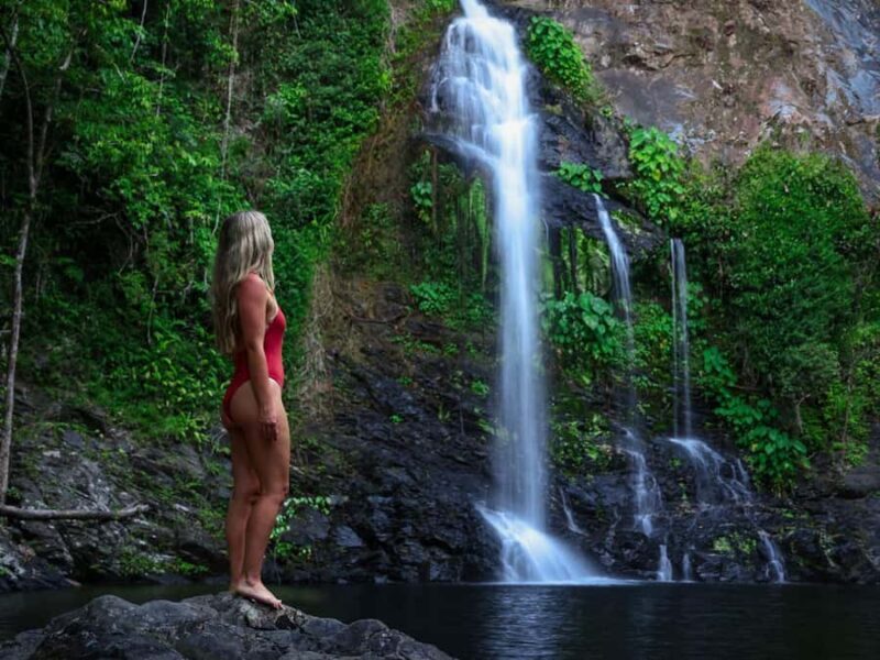 Cassowary Falls Adventure Tour - Daintree Rainforest - The Value for Your Money