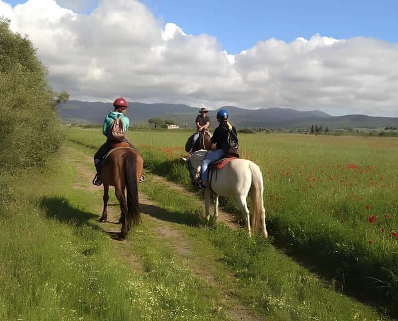 Castagneto Carducci: Horseback Riding Experience in Tuscany - Key Points