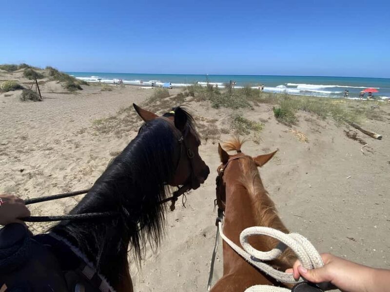 Castagneto Carducci: Horseback Riding Experience in Tuscany - An Authentic Ride Through Tuscan Nature