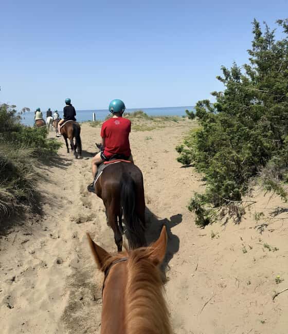 Castagneto Carducci: Horseback Riding Experience in Tuscany - FAQ