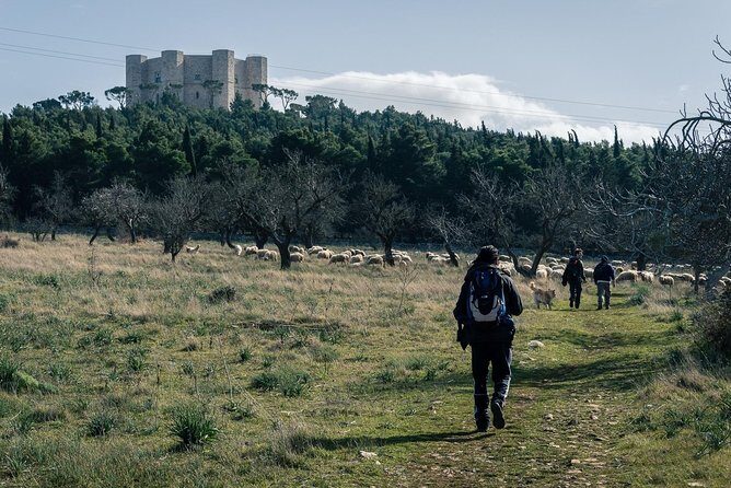 Castel del Monte: excursion in the Alta Murgia National Park - Who Is This Tour Best For?