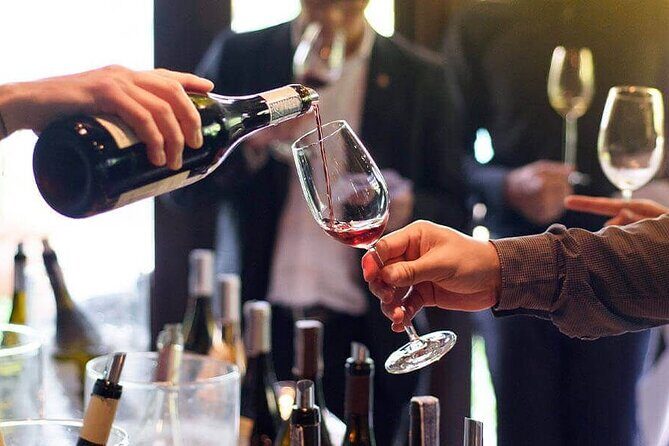 Castel Gandolfo tour with wine tasting - A Deep Dive Into the Experience