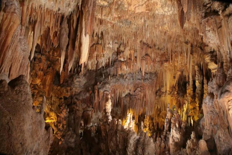 Castellana Grottoes: Official Guided Tour with Entry Ticket - Key Points