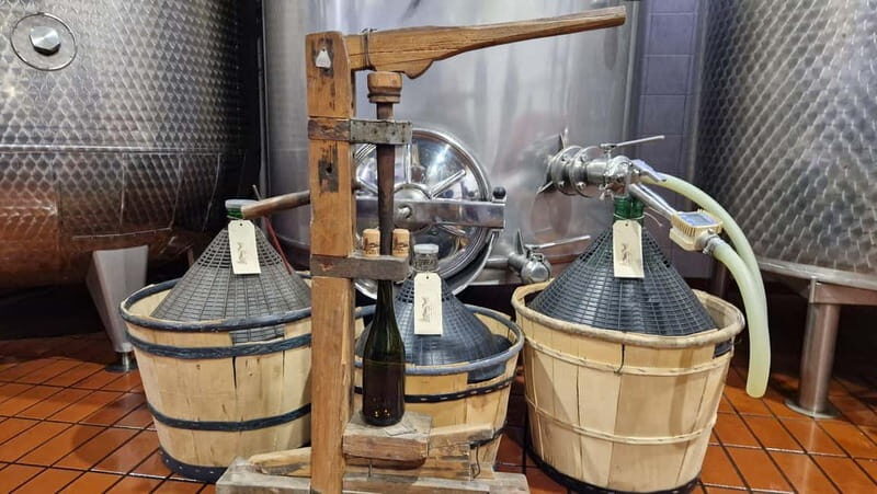 Castell'Arquato: Winery tour and tasting Colli Piacentini wines - Final Thoughts