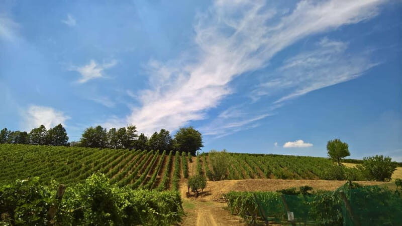 Castell'Arquato: Winery tour and tasting Colli Piacentini wines - FAQ