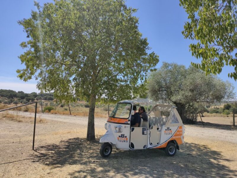 Castelo Branco City Tour - Exploring Castelo Branco Through Its Rich Heritage