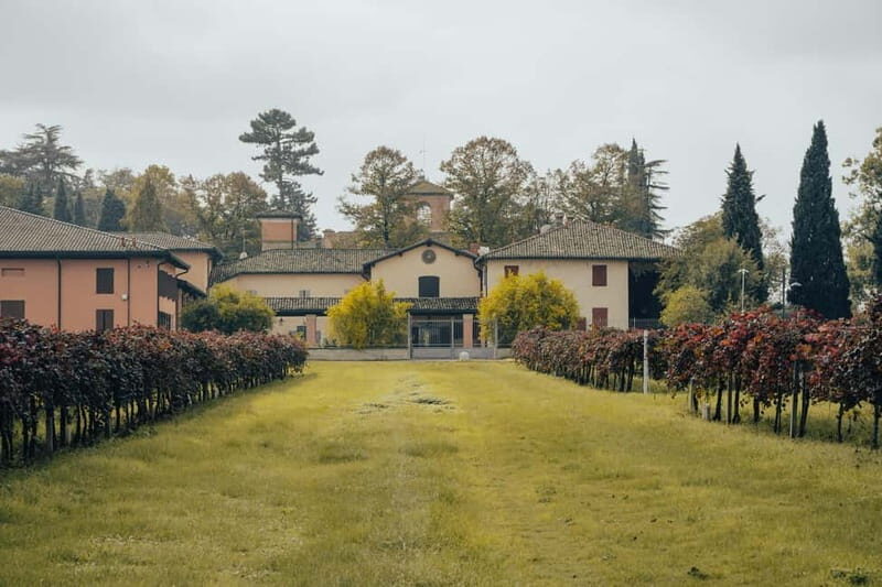 Castelvetro: winery tour and Lambrusco tasting - What You Can Expect from This Tour