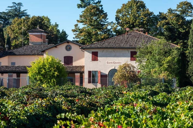 Castelvetro: winery tour and Lambrusco tasting - The Value and Practicalities