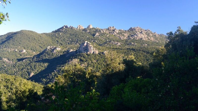 Castiadas: trekking in the S'Acqua Callenti forest - Final Thoughts