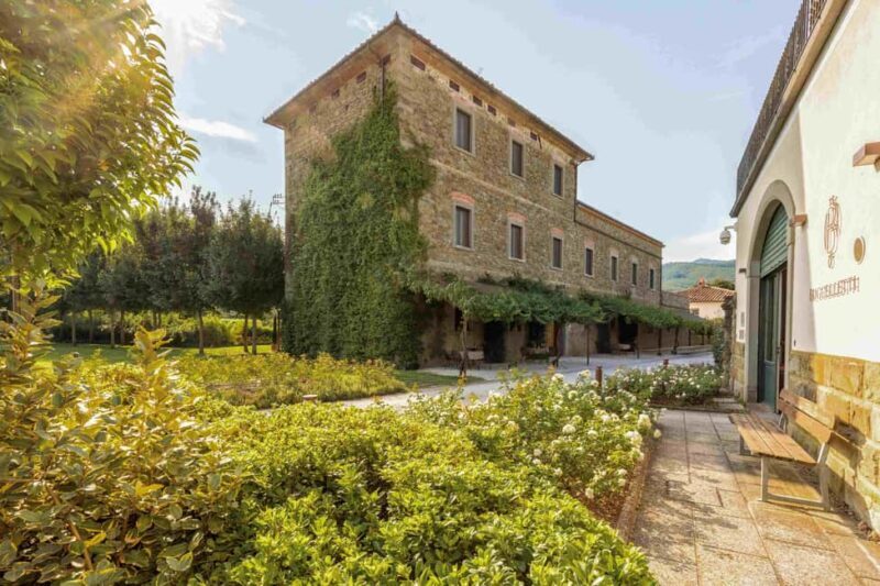 Castiglion Fiorentino: Vegetable Harvest And Wine Experience - What to Expect from the Vegetable Harvest & Wine Experience