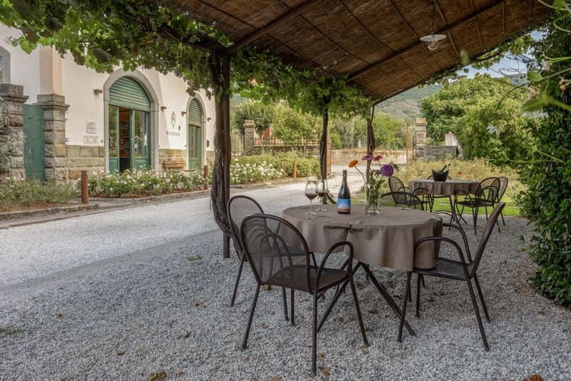 Castiglion Fiorentino: Wine Tasting and Charcuterie Board - Final Thoughts