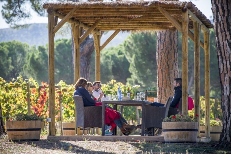 Castille and León: Vineyard Tour with Wine Tasting - An In-Depth Look at the Vineyard Tour Experience