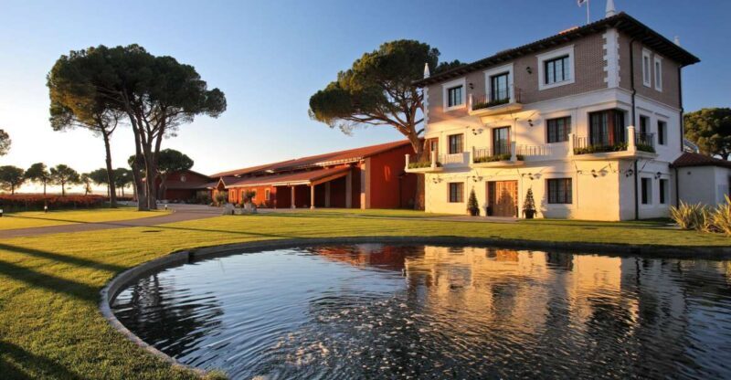 Castille and León: Vineyard Tour with Wine Tasting - Who Should Book This Experience?