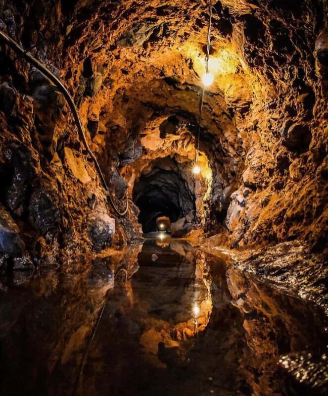 Castillo Tequila: Luxury History and Premium Sensory Tasting - Key Points