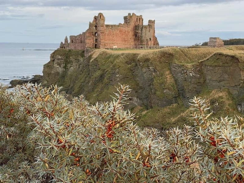 Castle and Coastline Electric Bike Tour North Berwick - Key Points