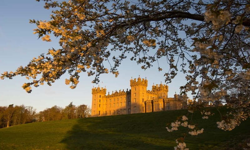 Castle, Gardens & Grounds Ticket - Practical Details & Visitor Experience