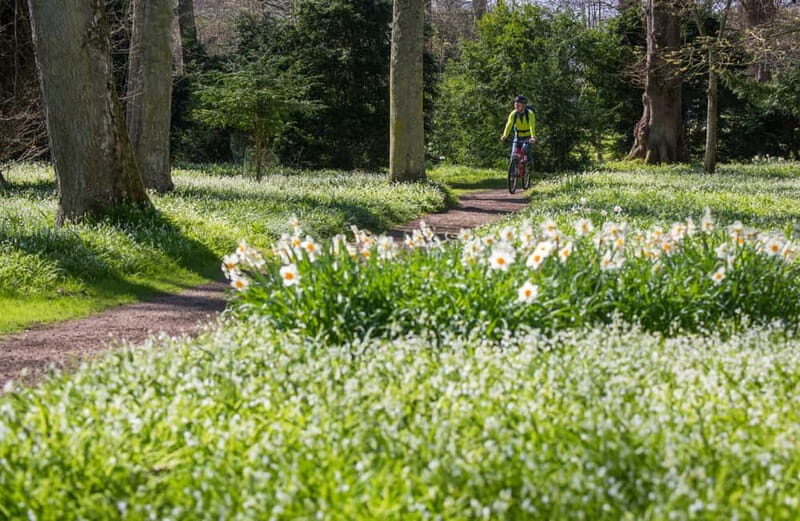 Castle, Gardens & Grounds Ticket - Value for Money