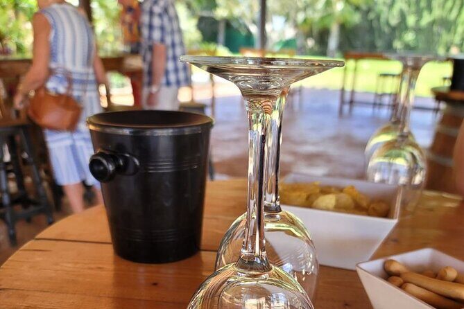 Castle Tour in Province of Alicante and Wine Tasting - The Experience: What to Expect from the Castle and Wine Tour