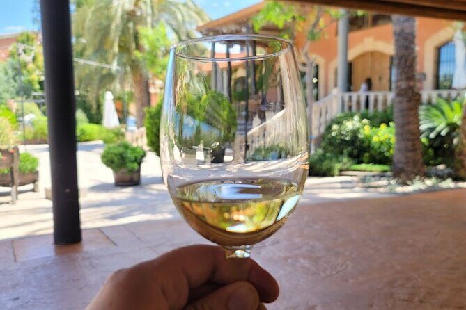 Castle Tour in Province of Alicante and Wine Tasting - Who Should Book This Tour?