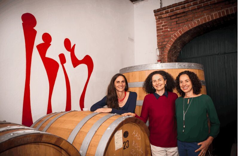 Castle Winery Tour & Tasting near Lake Maggiore - Key Points