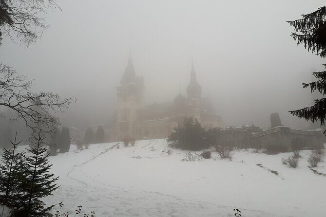 Castles Day Tour Peles - Bran - Rasnov from Brasov - Who Will Love This Tour?