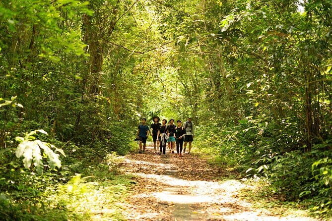 Cat Ba National Park Full Day Trekking, Biking from Cat Ba Island - Who Is This Tour Best For?