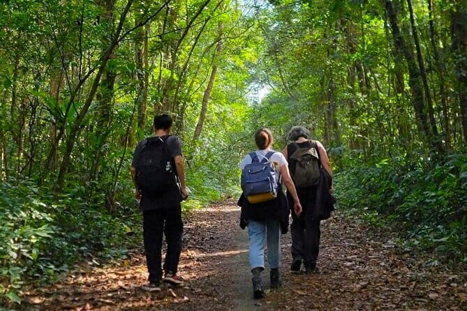 Cat Ba National Park Full-Day Guide Tour Trekking, Biking,Kayaking - Exploring the Day in Detail: Your Complete Guide