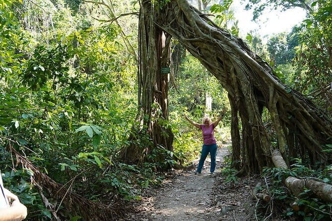 Cat Ba Trekking & Kayaking 3 days 2 nights - What Makes This Tour Stand Out?