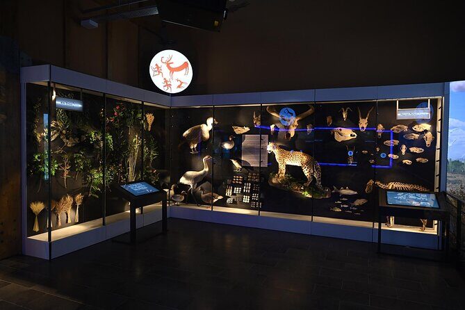 Çatalhöyük Archaeological Excavation Site and Virtual Museum - Practical Tips for Your Visit