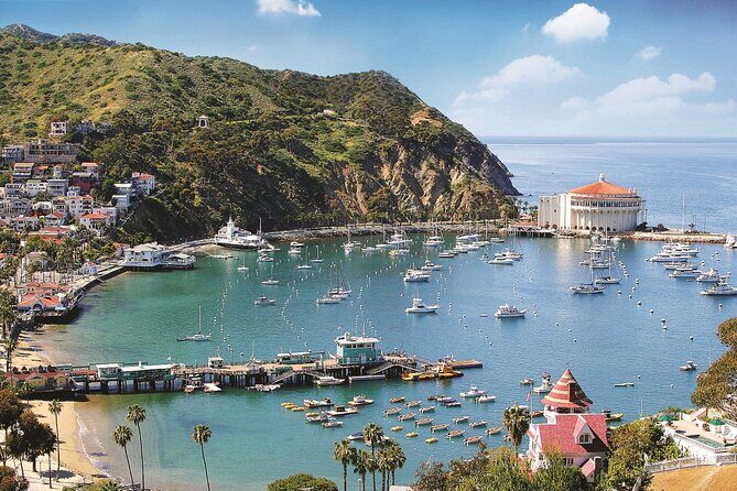 Catalina Express Long Beach to Avalon One Way Ferry - Who Will Love This Experience?