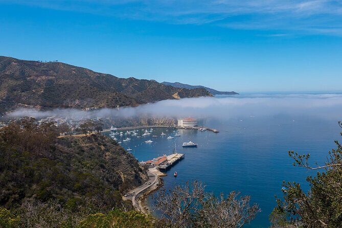 Catalina Island 2-Hour Insider Adventure Tour - A Closer Look at the Catalina Island 2-Hour Insider Adventure Tour