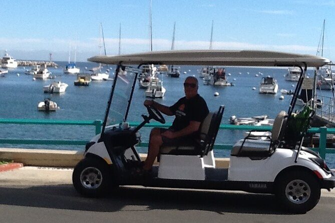 Catalina Island All Inclusive Sightseeing Tour From Orange County - A Deep Dive into the Catalina Island All-Inclusive Experience