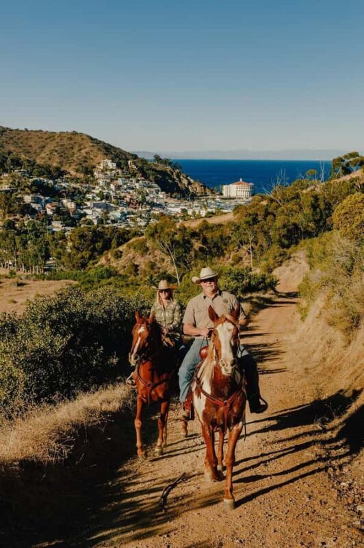 Catalina Island: Bluff View Horseback Ride - The Experience: A Closer Look