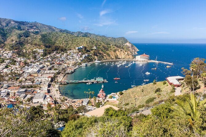 Catalina Island City and Scenic Mount Ada Tour - The Sum Up: Why Choose This Tour?