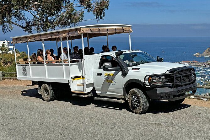 Catalina Island City and Scenic Mt Ada Tour - Value for Money