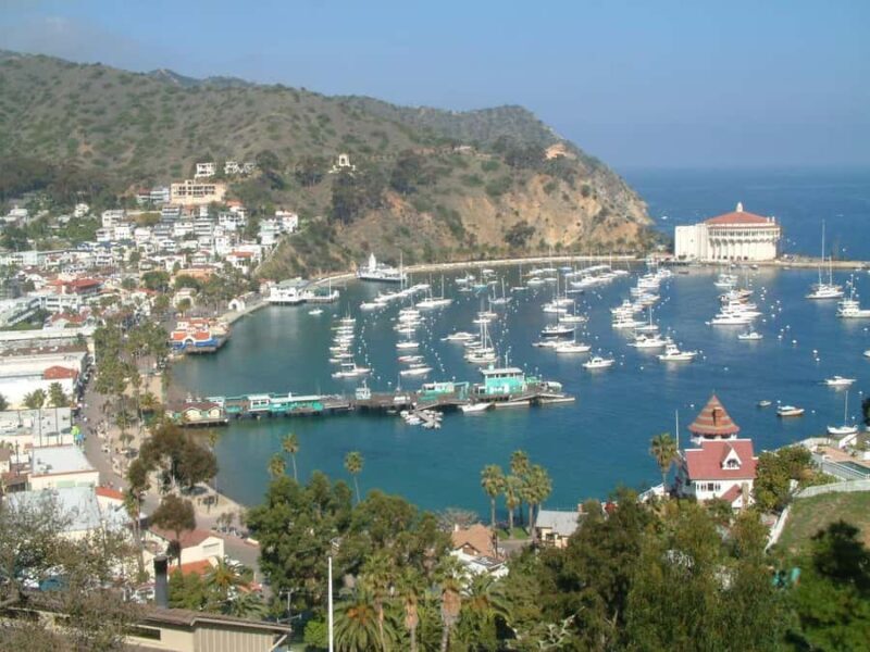 Catalina Island City & Scenic Mt. Ada Tour - Catalina Island City & Scenic Mt. Ada Tour: An Authentic Look at Avalon’s Highlights