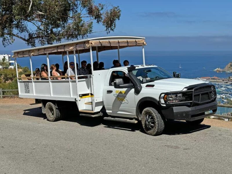 Catalina Island City & Scenic Mt. Ada Tour - Key Points