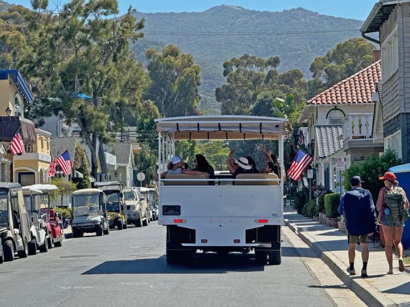 Catalina Island City & Scenic Mt. Ada Tour - Final Thoughts