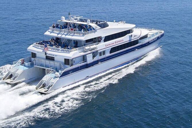 Catalina Island Day Trip from Anaheim Hotels with Discover Avalon Tour - What Makes This Tour Stand Out?