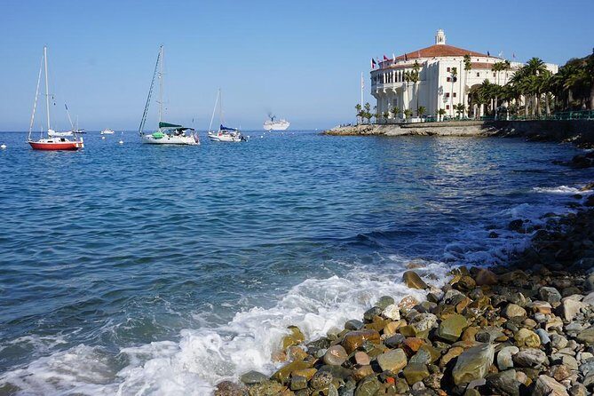Catalina Island Day Trip from Anaheim Hotels with Discover Avalon Tour - Who Is This Tour Best Suited For?