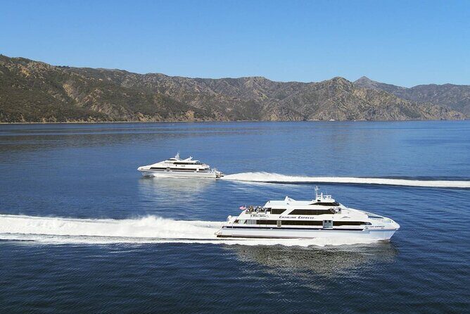 Catalina Island Day Trip from Anaheim Hotels with Discover Avalon Tour - The Sum Up