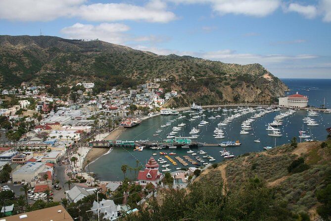 Catalina Island Day Trip from Anaheim Hotels with Discover Avalon Tour - FAQ