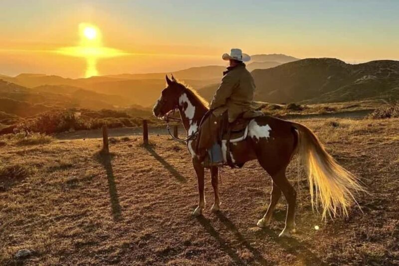 Catalina Island: Horse Trail Overlook Ride - An In-Depth Look at the Catalina Island Horseback Ride