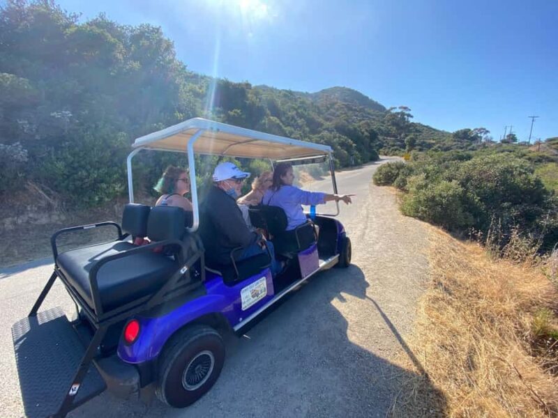 Catalina Island: Private Guided Golf Cart Tour of Avalon - Exploring Catalina Island’s Charms in a Golf Cart