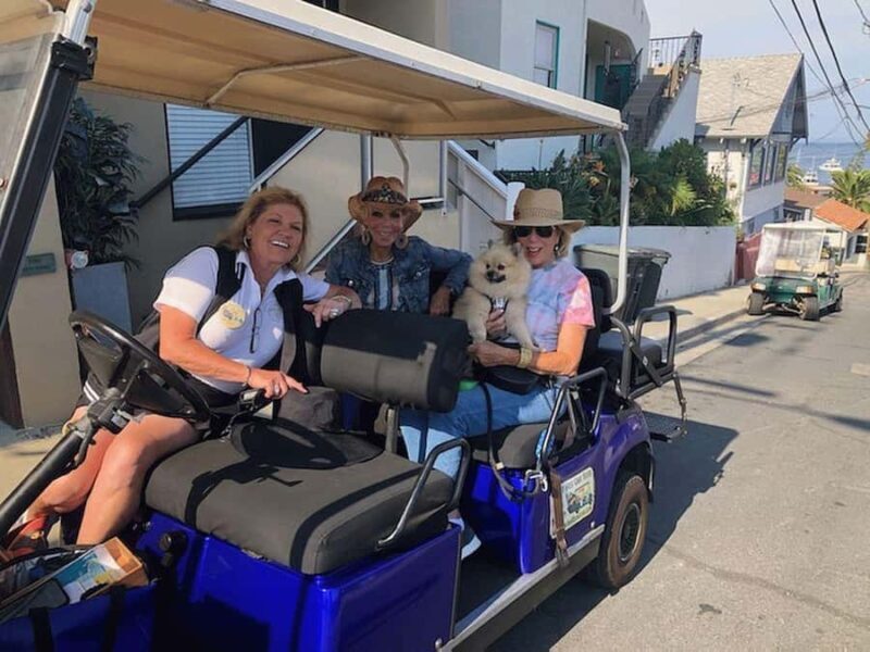 Catalina Island: Private Guided Golf Cart Tour of Avalon - Practical Details and Considerations